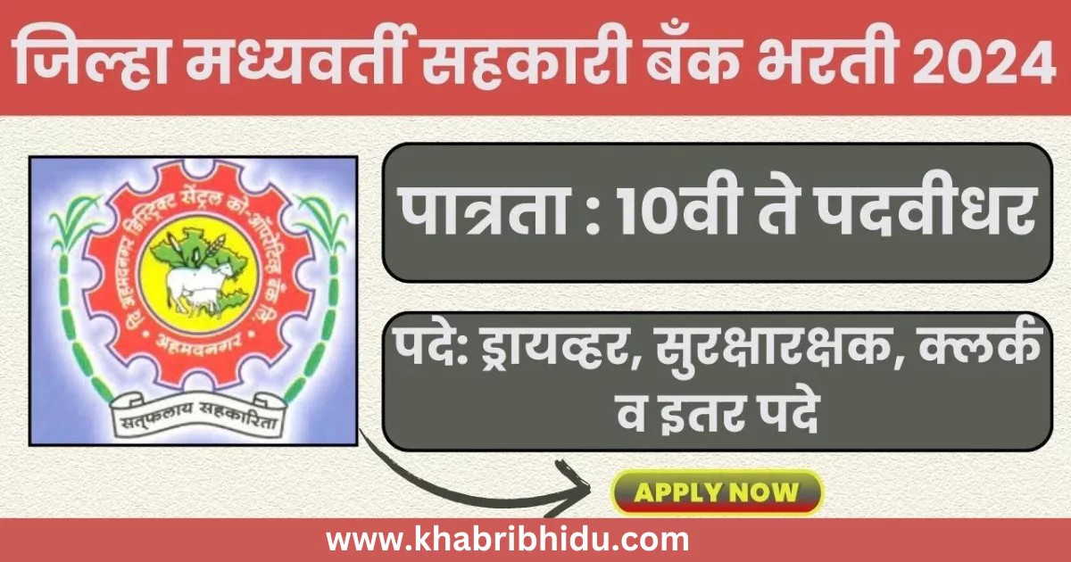 DCC Bank Bharti 2024